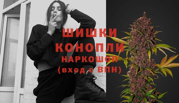 гидра Бородино