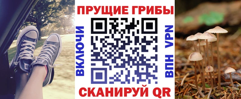Галлюциногенные грибы MAGIC MUSHROOMS  купить  сайты  Томари 